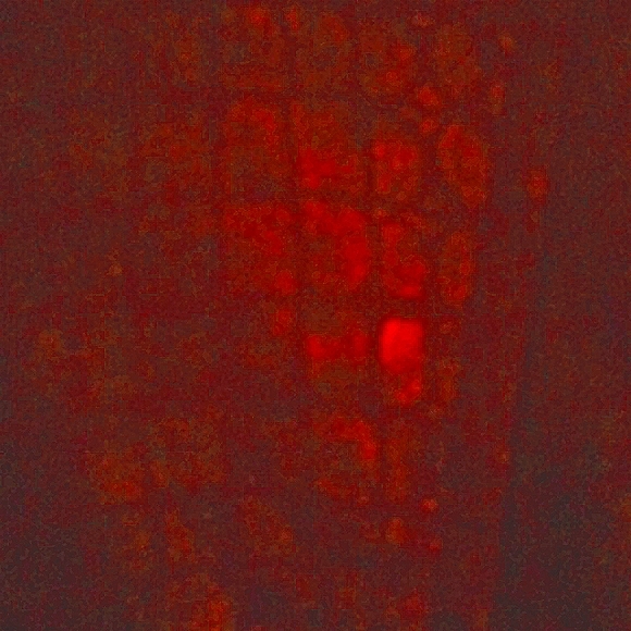 Purple faux leather - Picture 4 of 4